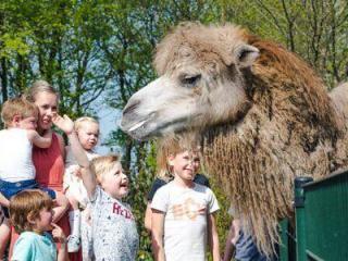 Speel- en Dierenpark Sanjesfertier (5)