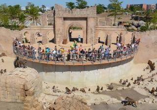 WILDLANDS Adventure Zoo Emmen6