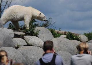 WILDLANDS Adventure Zoo Emmen7