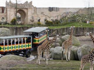 WILDLANDS Adventure Zoo Emmen9
