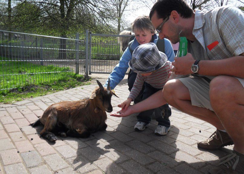 Tiergarten Kleve - KinderSpeelPret