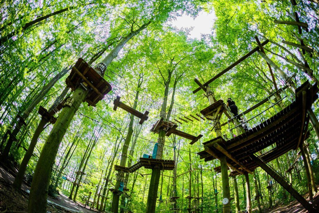 Fun Forest De leukste kinderuitjes KinderSpeelPret