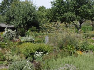 Museumtuin-1