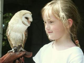 meisje-met-uil-1