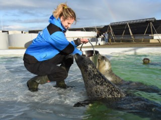Rowanne-voert-zeehonden-3