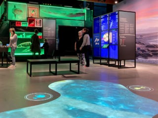 Wonderlijk-Wad-bezoek-overzicht-1